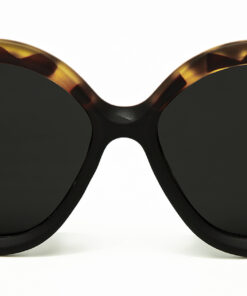 Gambetta - Ray Edition